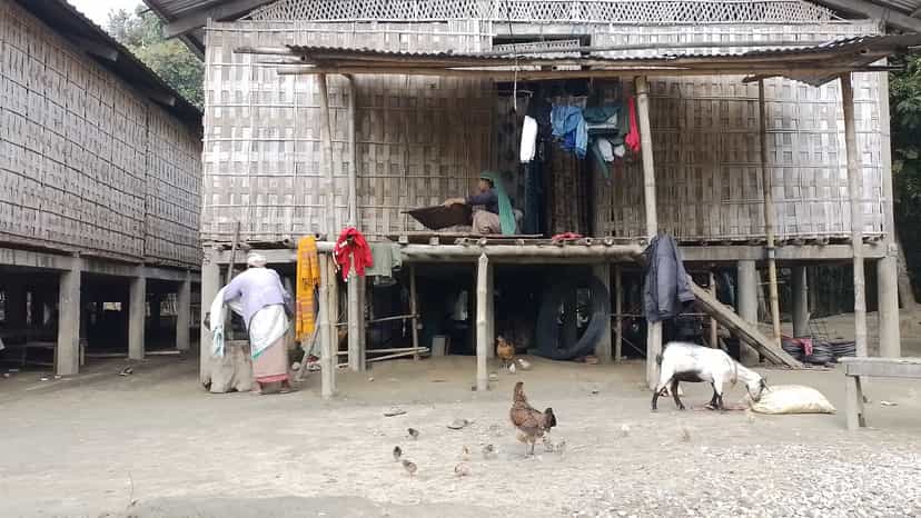 A Mising bamboo stilt house raised on wooden posts, with woven bamboo walls, livestock and poultry on the ground below and the living quarters above