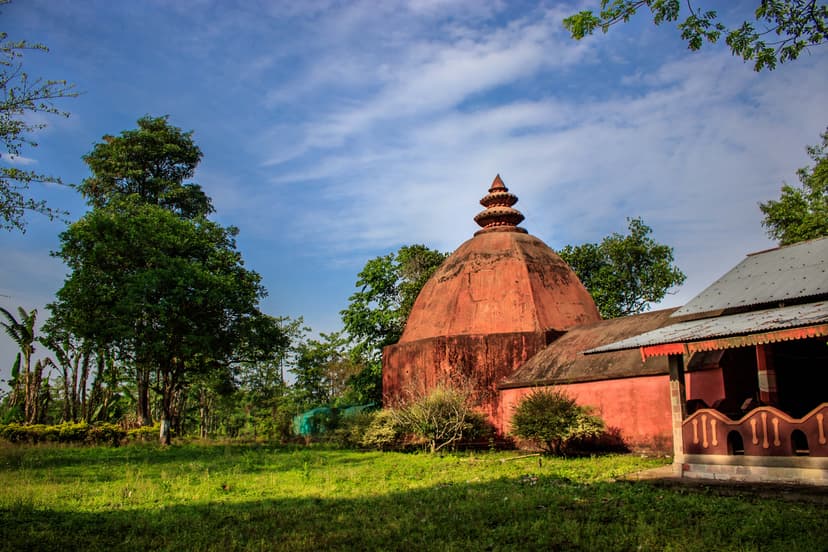 Weathered terracotta brick doul with a tiered kalasha finial and an attached metal-roofed porch, standing in open grass under tall trees at Ghuguha near Habung in Dhemaji