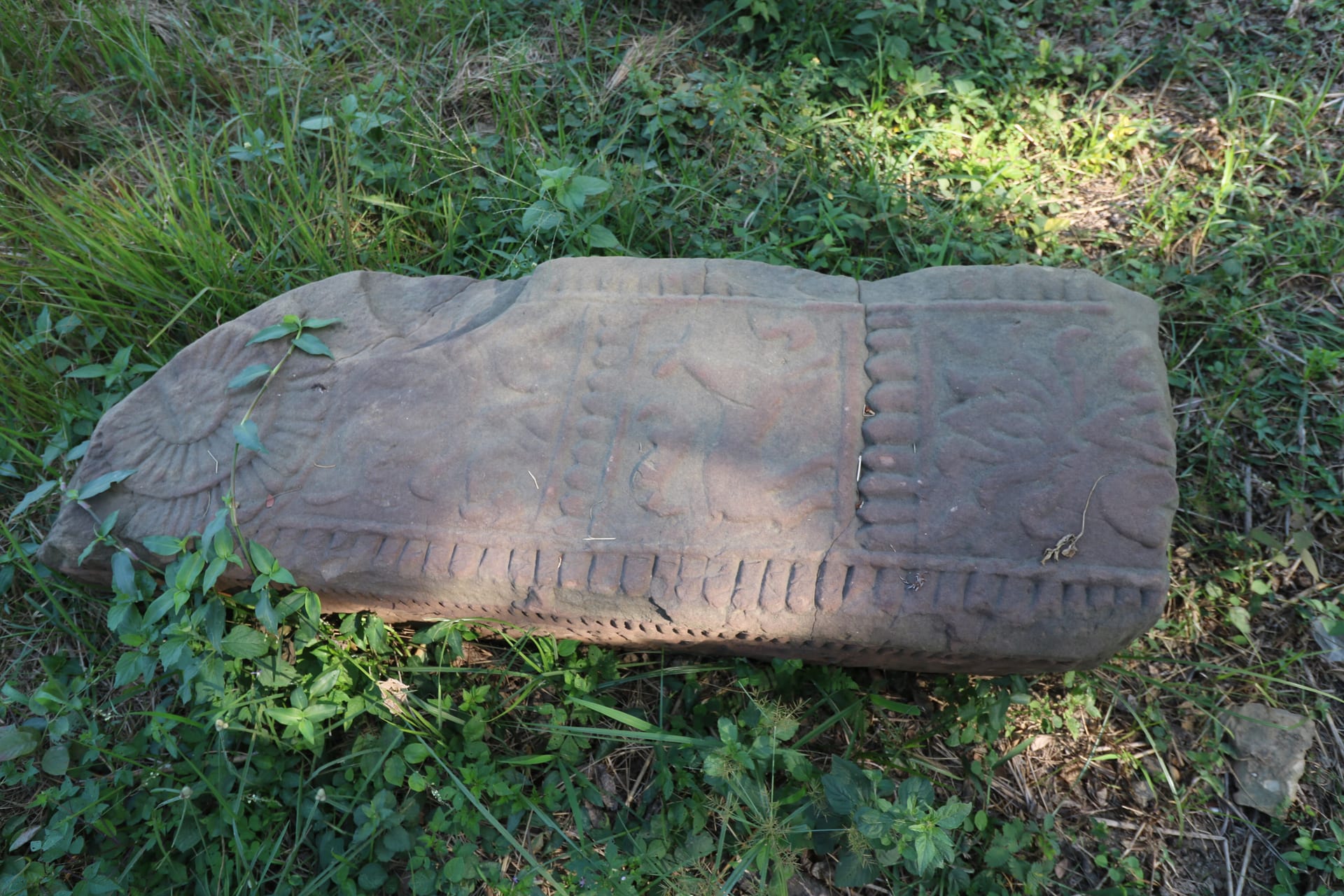 A long fallen sandstone slab lying in grass at the Dimapur ruins, its upper face cut with a lotus rosette at one end and panels of incised figural and floral relief framed by a dotted border