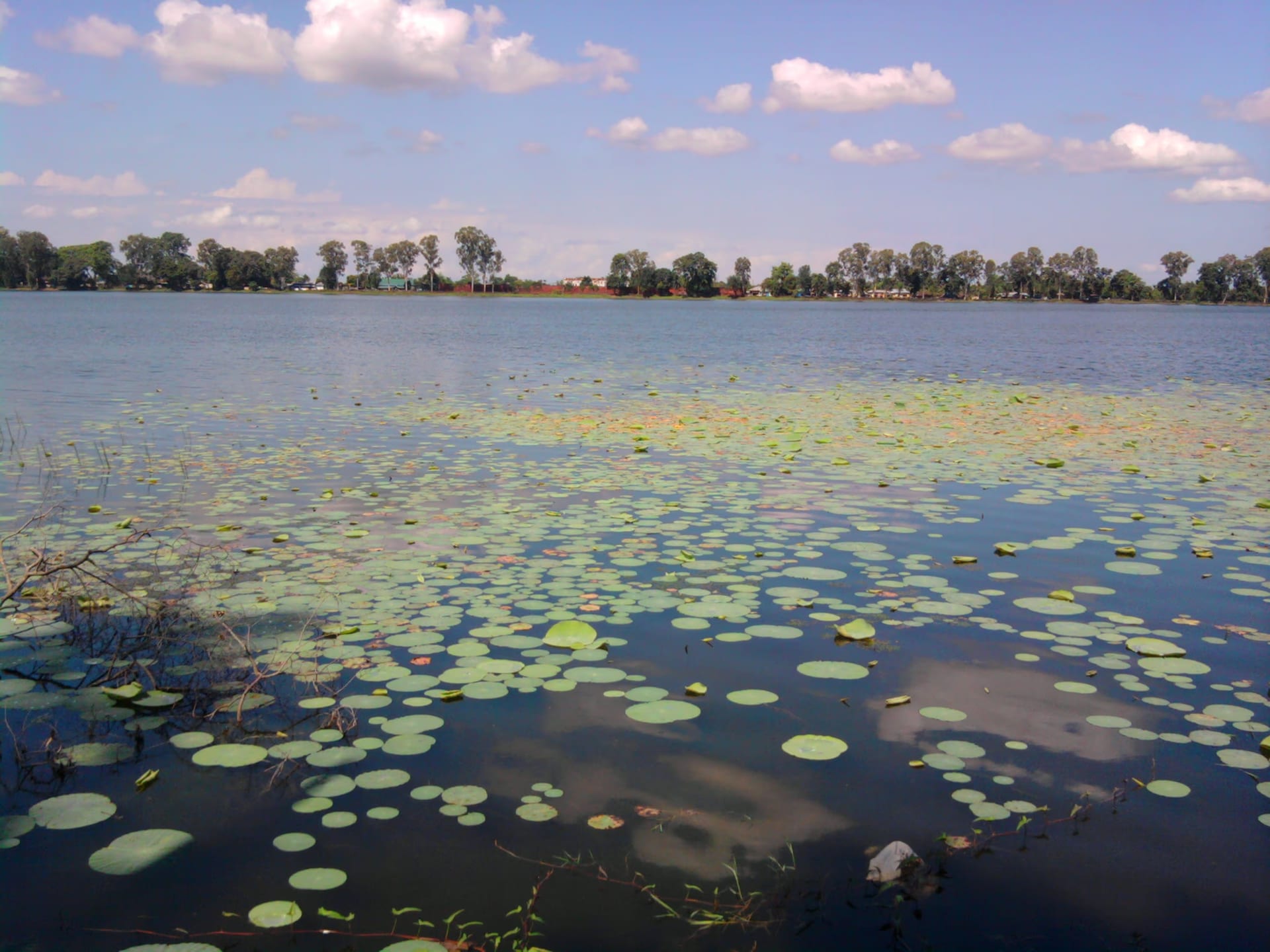 The great Sivasagar tank — a broad sheet of still water strewn with lily pads, a low tree-lined far bank beyond, under a cloud-flecked sky