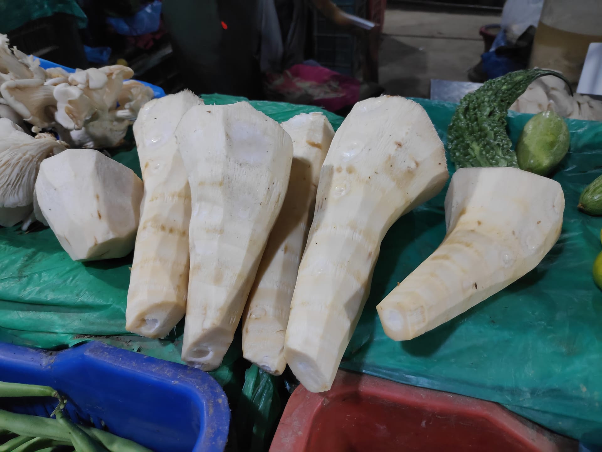 Several pale, peeled fresh bamboo shoots laid out for sale on a market stall beside cucumbers and mushrooms