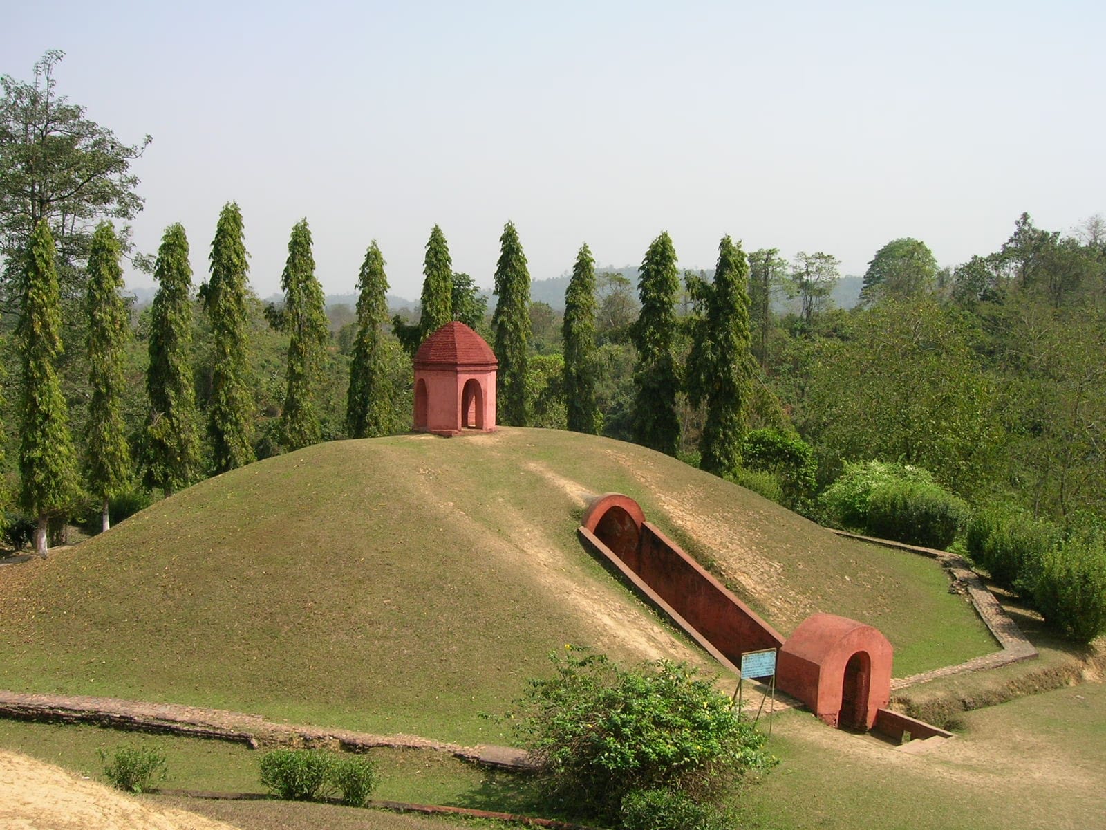 A royal maidam at Charaideo — a large grass-covered hemispherical burial mound with a domed brick pavilion on top and a vaulted brick entrance ramp, framed by a row of tall conifers