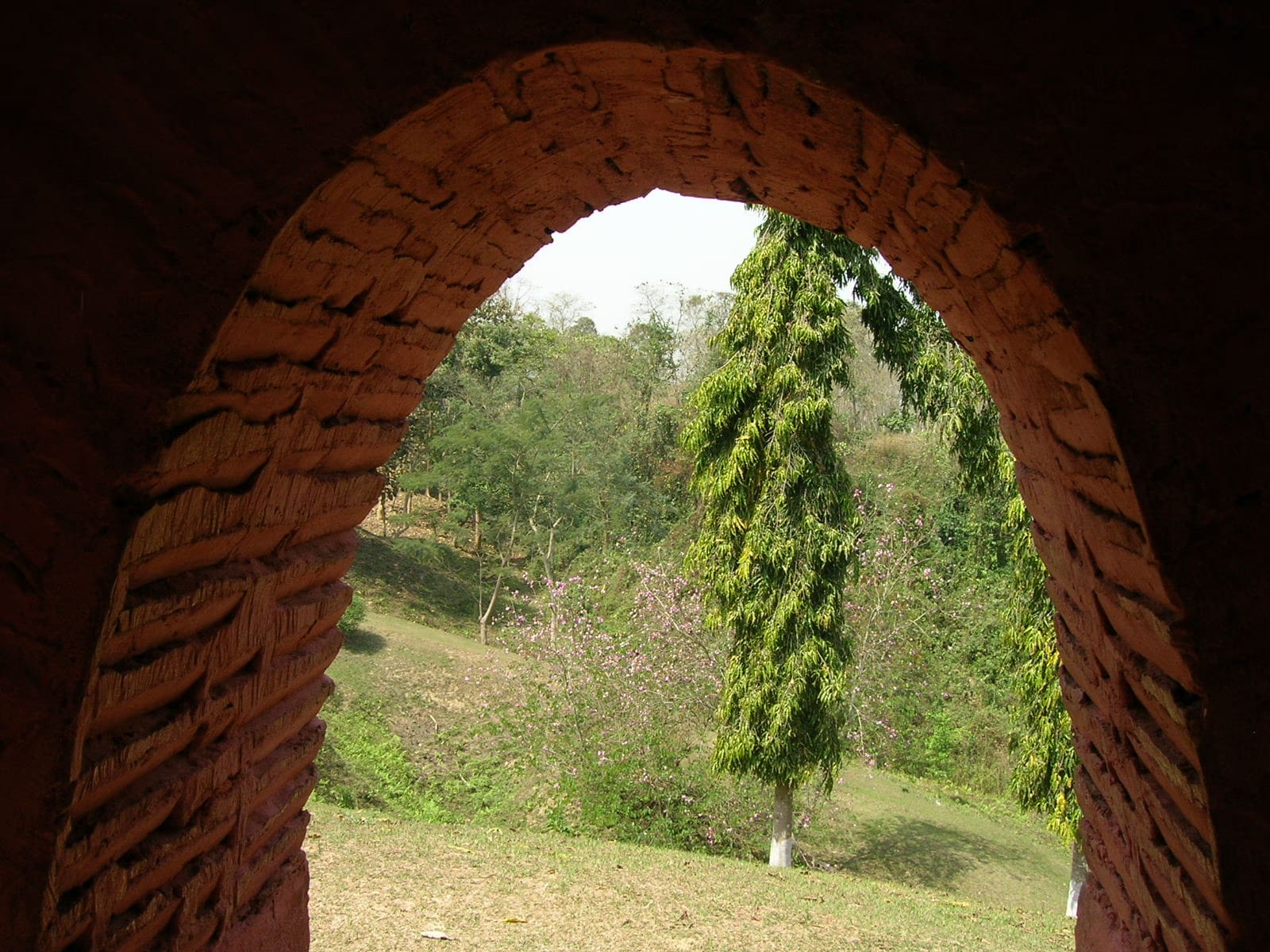 The view out through the vaulted brick entrance arch of a Charaideo maidam: a horseshoe arch of dressed and burned brick framing the green necropolis grounds and a slender conifer beyond