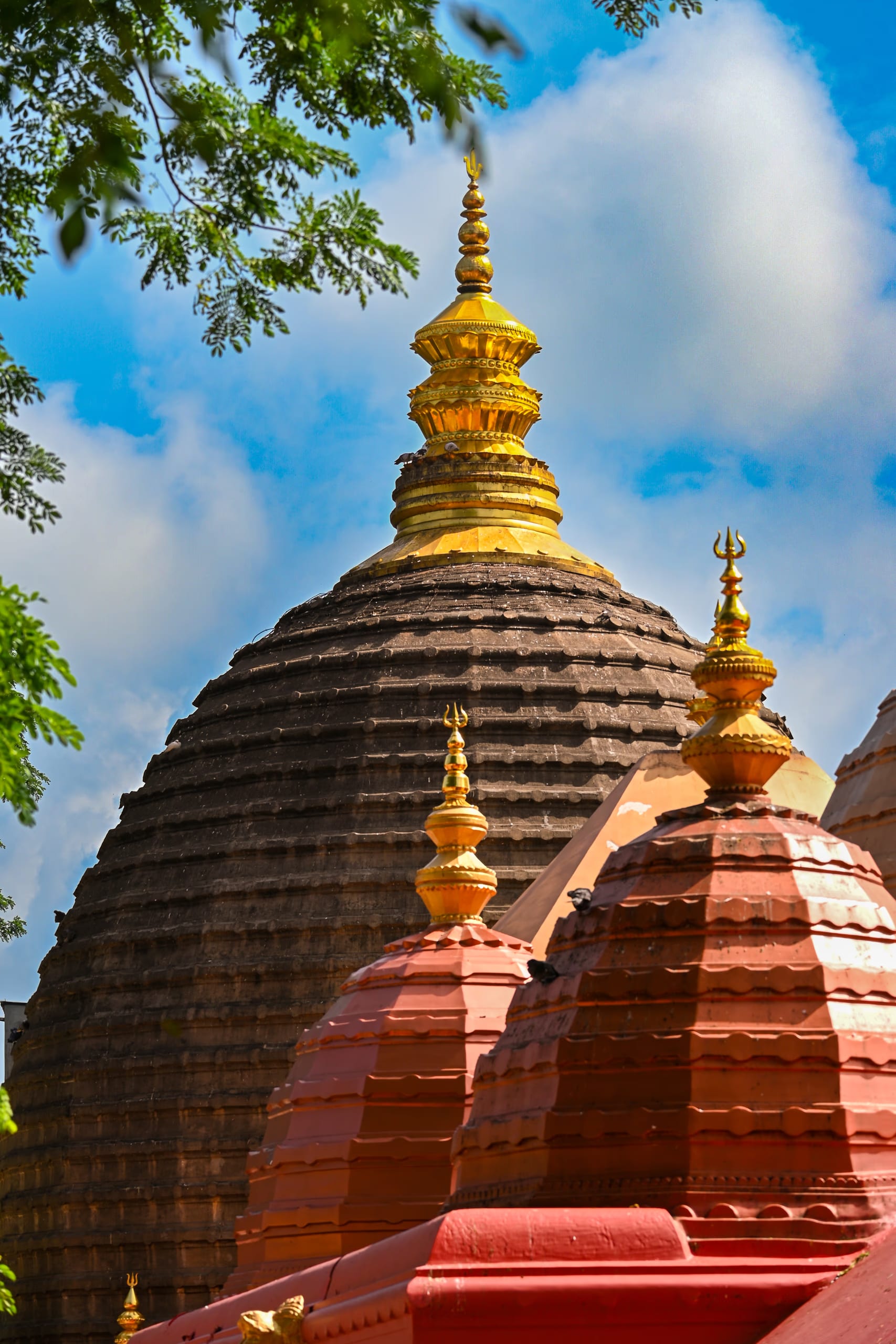 The beehive-shaped stone shikhara of Kamakhya Temple crowned with a gold finial, rising against a vivid blue sky scattered with white cloud, with smaller red-painted domes in the foreground and green tree branches framing the top