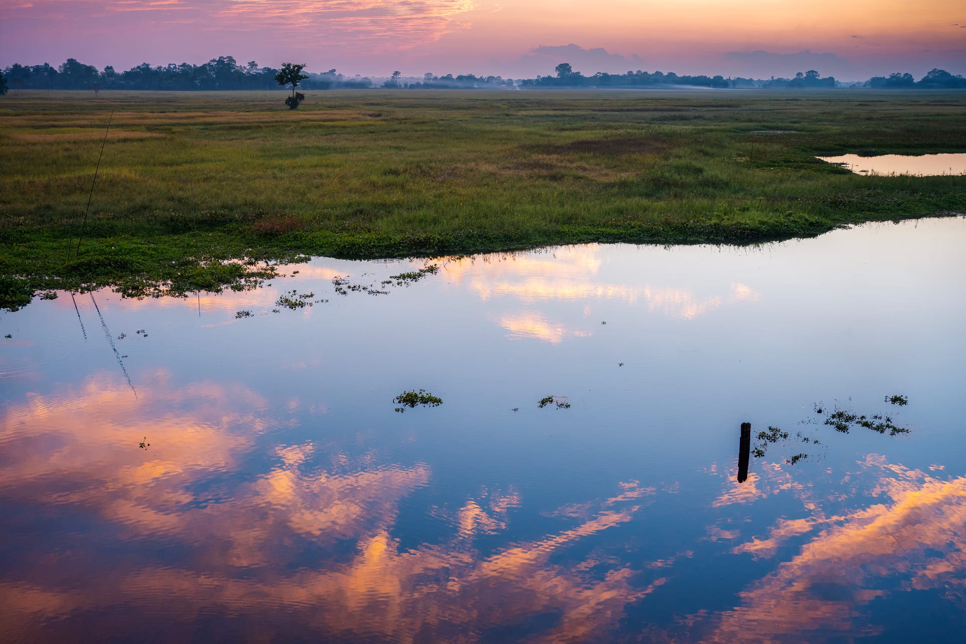 Twilight over Majuli's open wetlands: a still flooded pasture mirroring a sky of pink and lavender clouds, low green marsh and a lone tree on the misty horizon