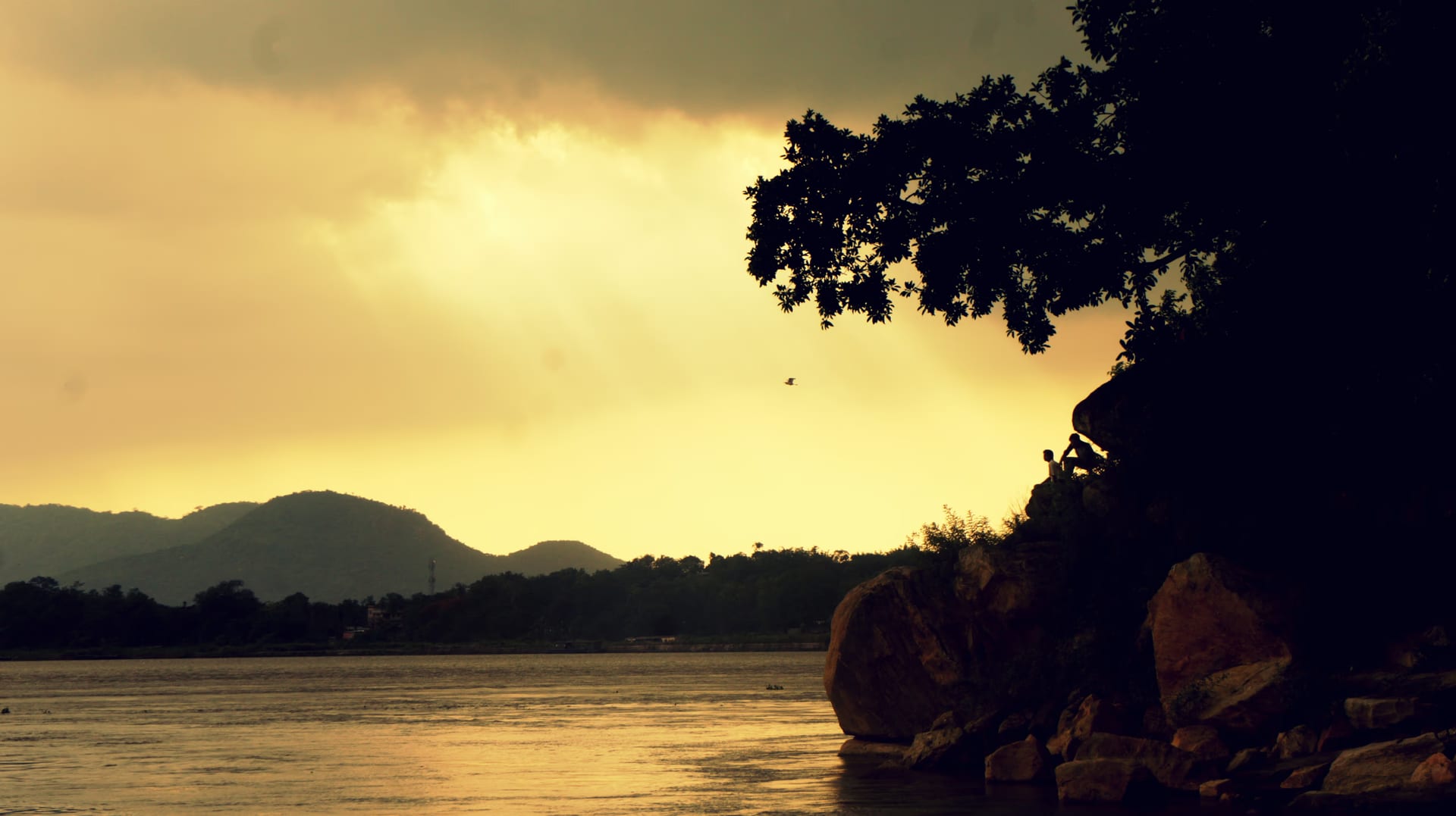 Golden sunset over the Brahmaputra from the rocky edge of Umananda Island, a tree leaning over the water and silhouetted hills along the far bank