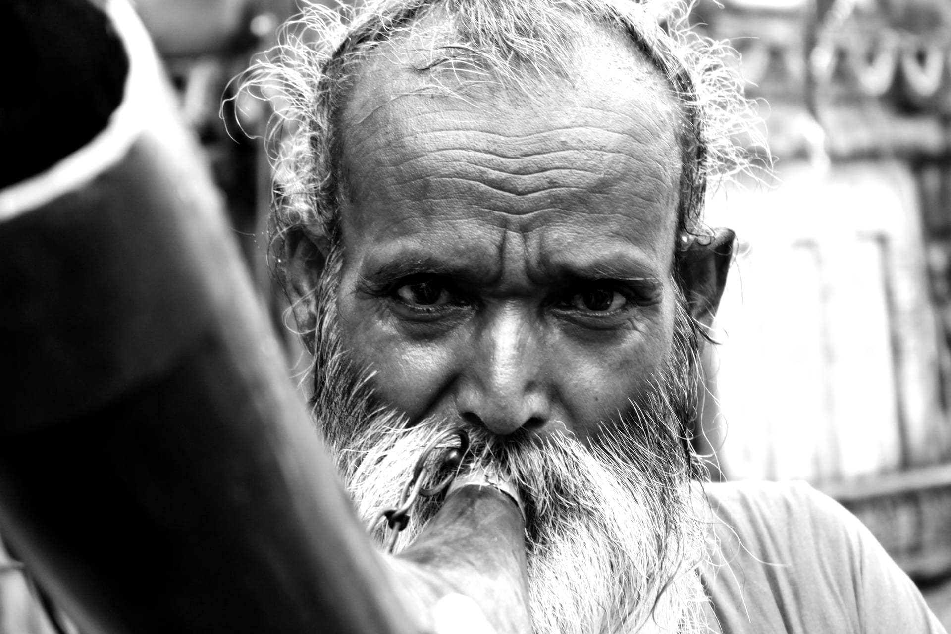 Black-and-white close portrait of an elderly sadhu with a long white beard and weathered face gazing toward the camera at the Ambubachi Mela