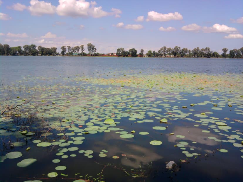 The great Sivasagar tank — a broad sheet of still water strewn with lily pads, a low tree-lined far bank beyond, under a cloud-flecked sky
