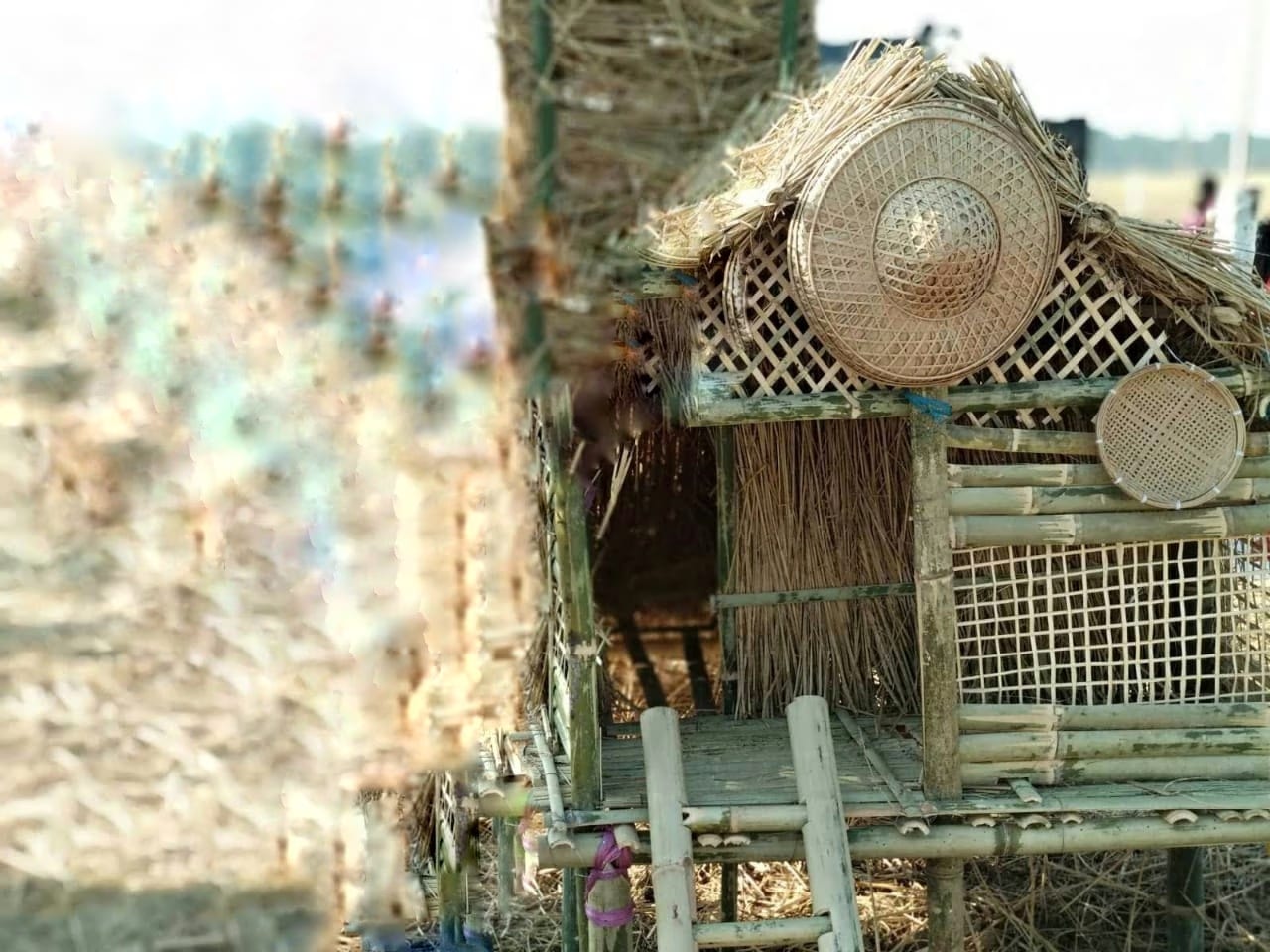A makeshift hut of straw, thatch and bamboo raised in a harvested field, with woven bamboo trays and a conical hat hung on its frame