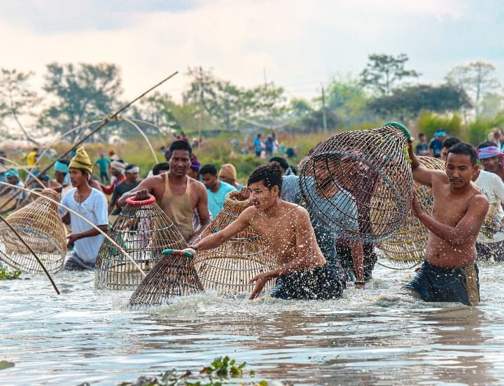 A crowd of men wading through a shallow pond, carrying conical bamboo fish traps, water splashing as they move together