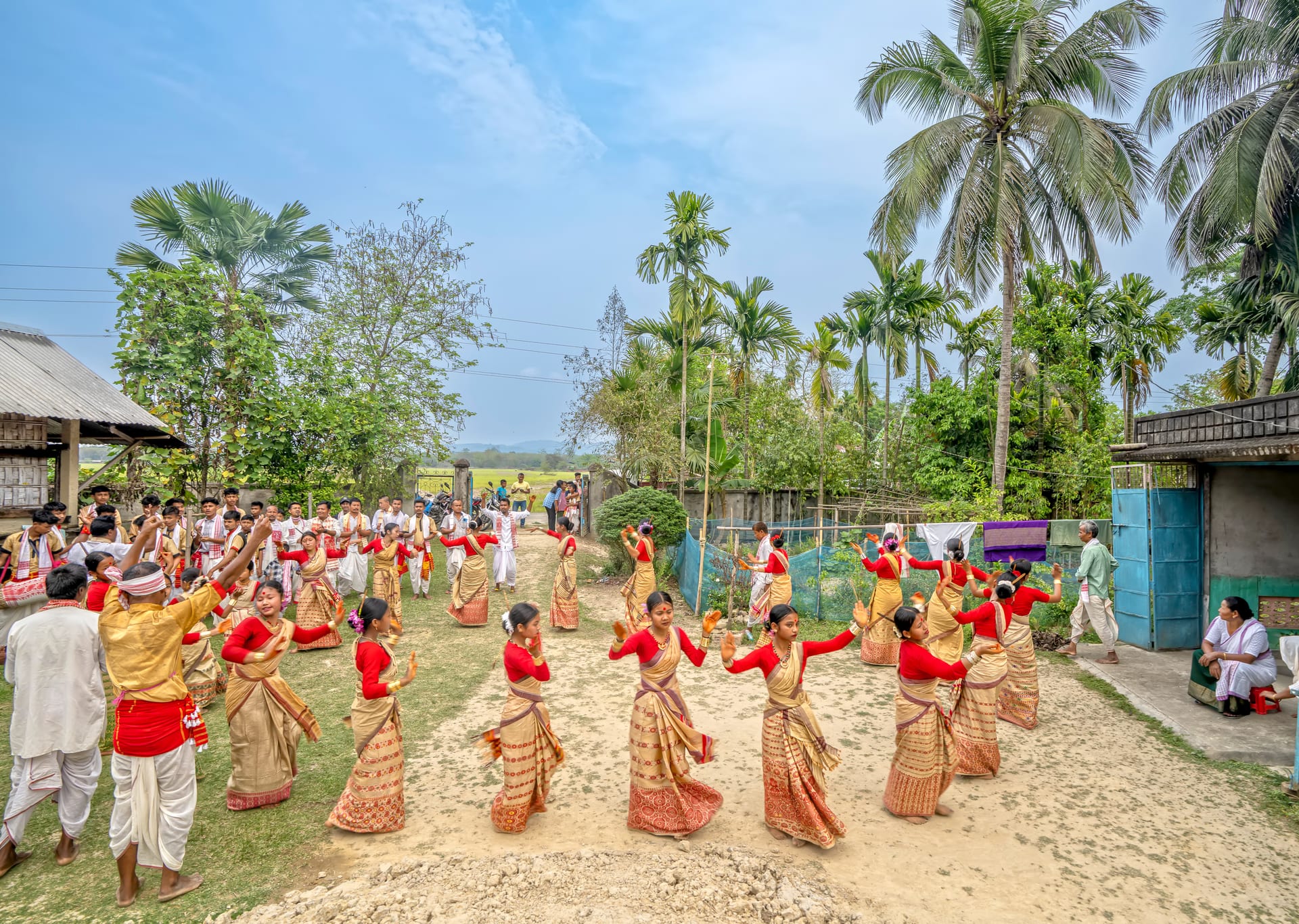 Young women in golden muga mekhela sador and red blouses dancing in a ring in a village yard, with male drummers at the edge