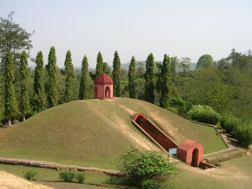 A royal maidam at Charaideo — a large grass-covered hemispherical burial mound with a domed brick pavilion on top and a vaulted brick entrance ramp, framed by a row of tall conifers