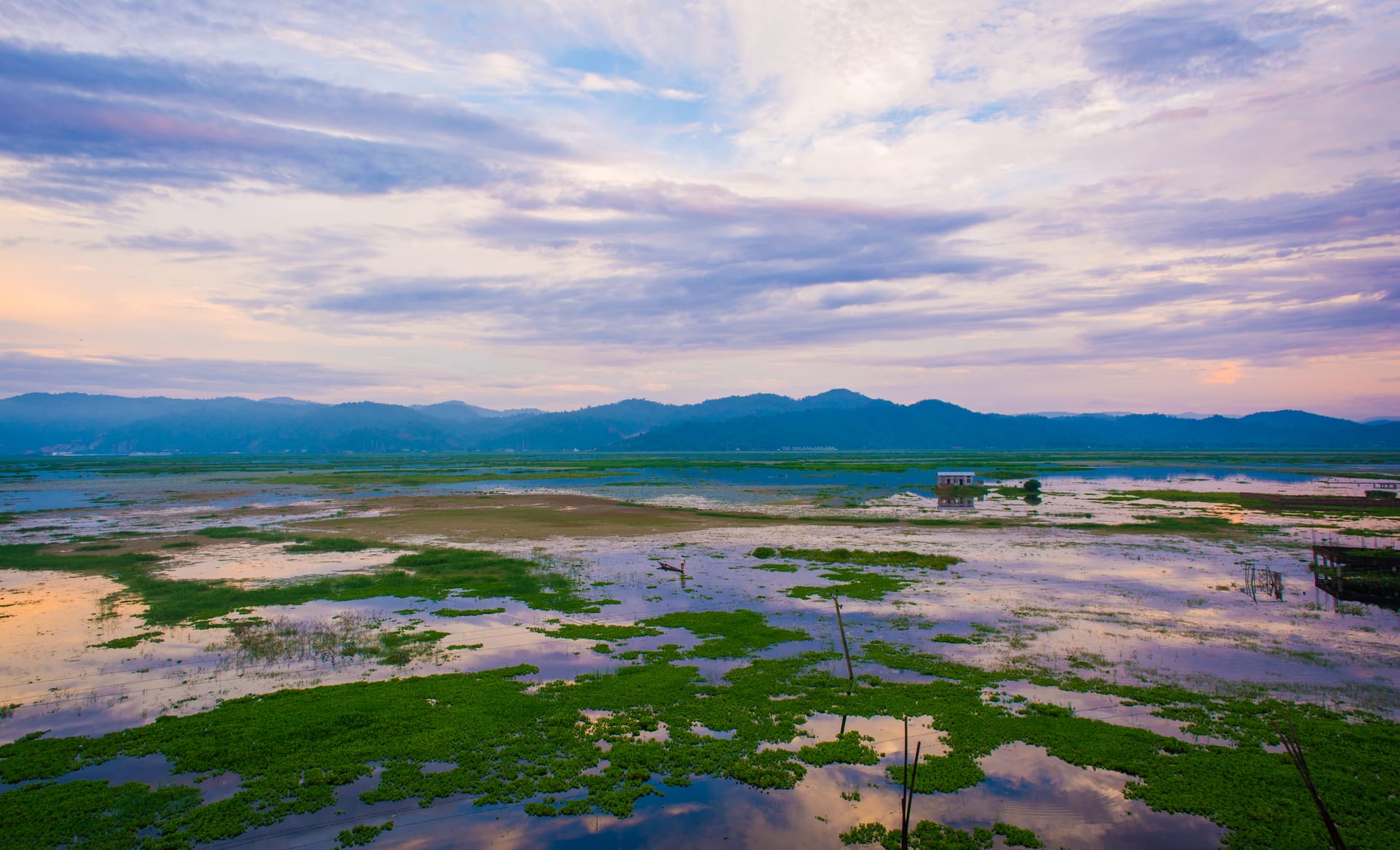 Broad shallow expanse of Deepor Beel at dusk, with mats of green aquatic vegetation in the foreground and the Rani-Garbhanga hills along the far shore