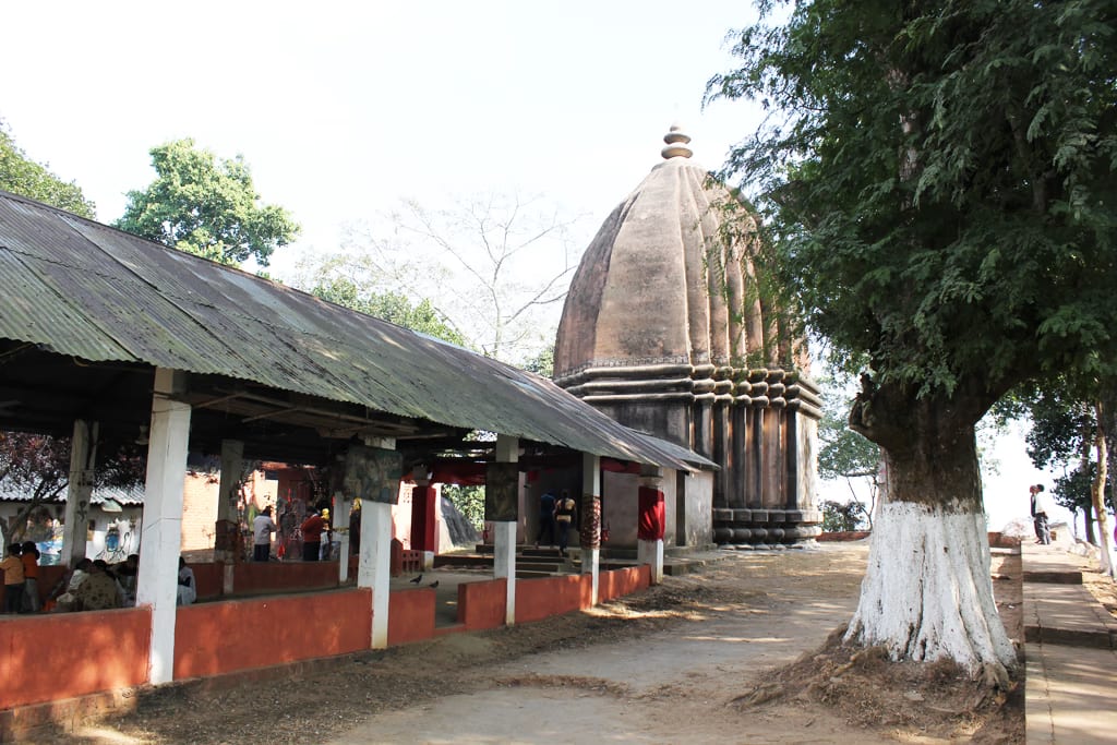 A brick temple with a curved shikhara tower beside a long tin-roofed pavilion on open hilltop ground, a large pale-trunked tree to the right