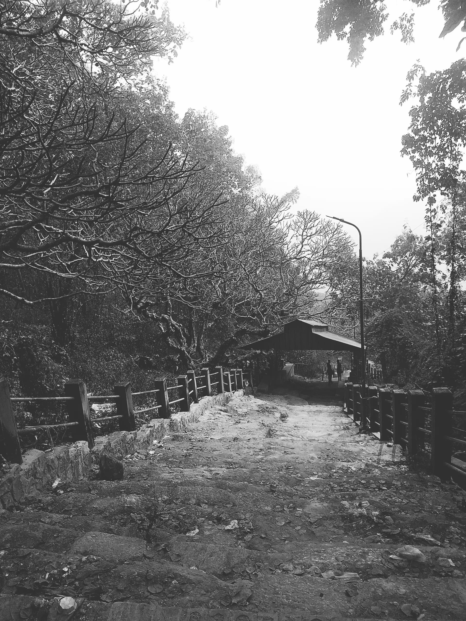 A worn stone stepped path descending through bare trees on the Nilachal hill, flanked by railings, with a rest shelter and two distant walkers, in black and white