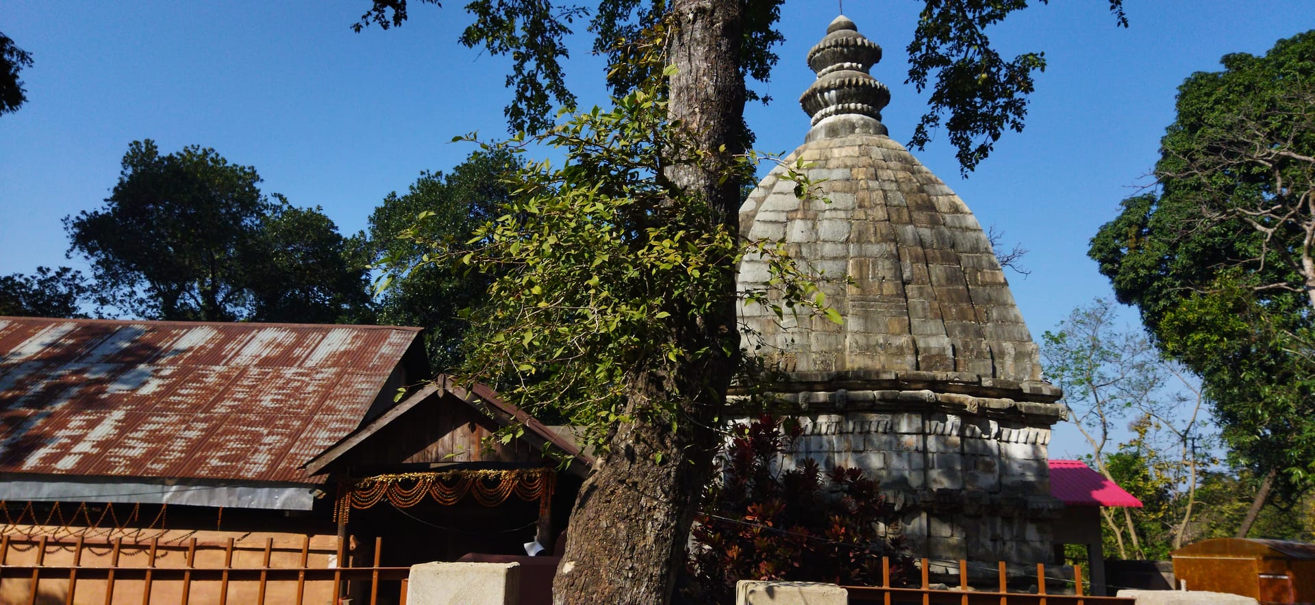 The grey stone sikhara of the Kedar temple at Hajo rising beside its tin-roofed mandapa, a tree in front