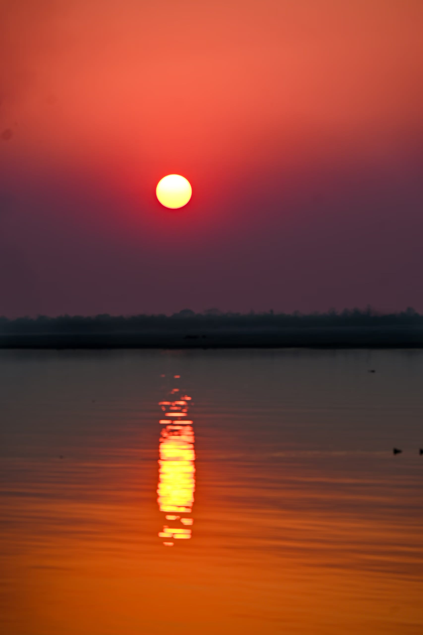 A vivid red-orange sun low over the wide Brahmaputra at Majuli, its glowing reflection running down the still water toward the viewer, the island's low tree-lined bank a dark silhouette across the horizon