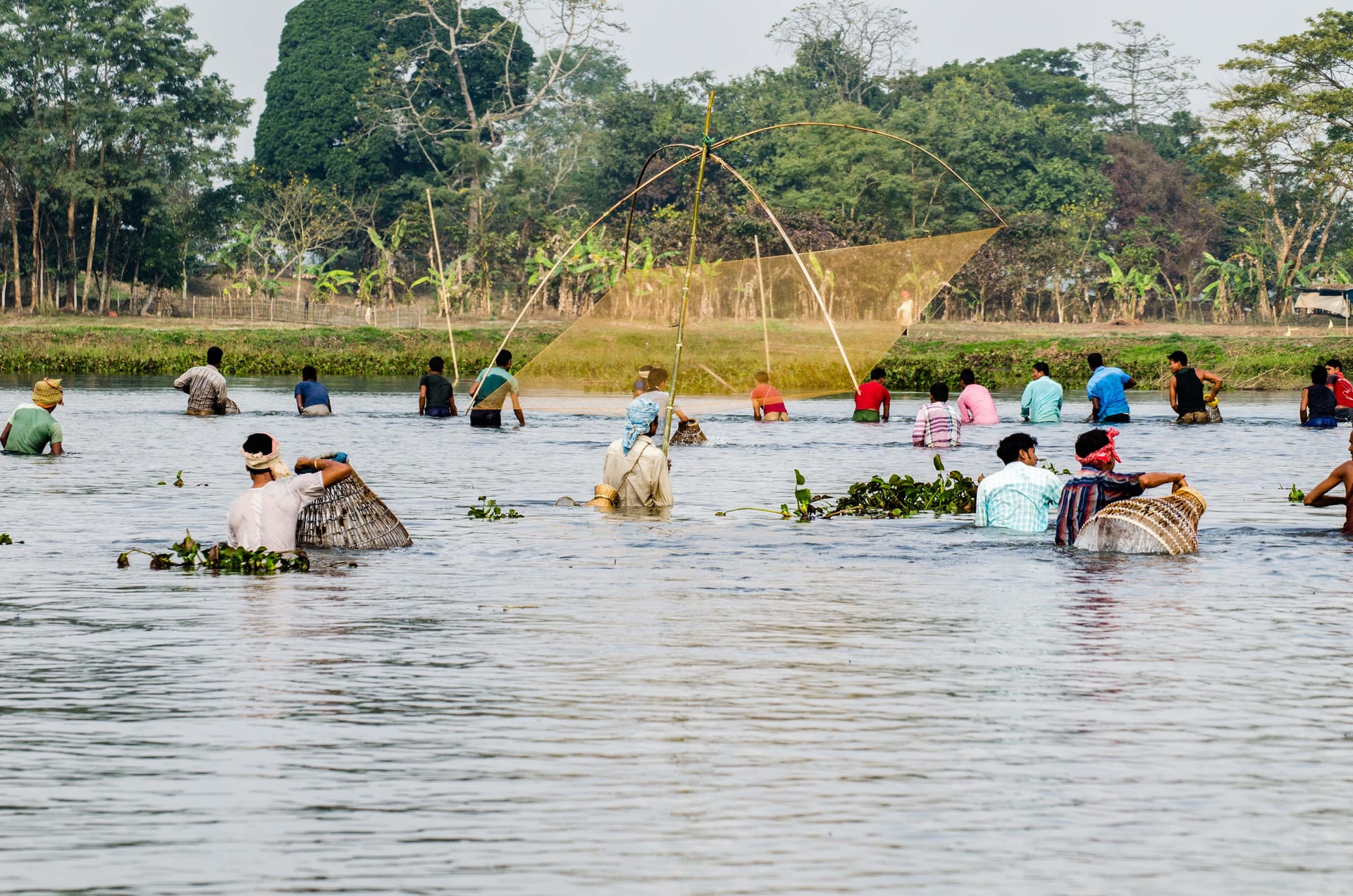People wading waist-deep in the Jonbeel wetland holding conical bamboo fishing baskets during the communal fishing