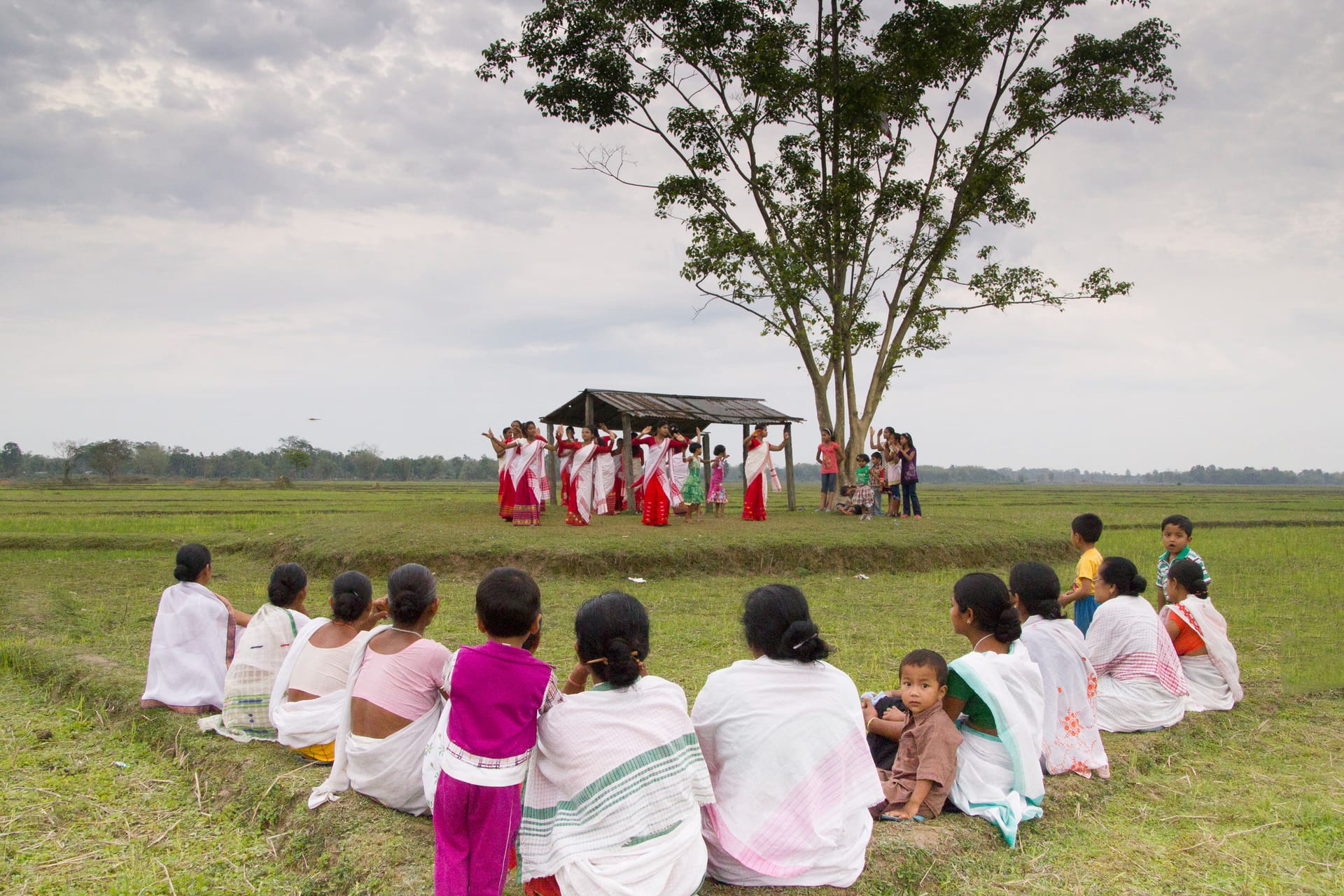 Women in red-and-white mekhela-chador dancing under a tree beside a thatched field shelter in an open green paddy field, with rows of villagers wrapped in white gamosa seated on the grass watching from the foreground under a grey sky
